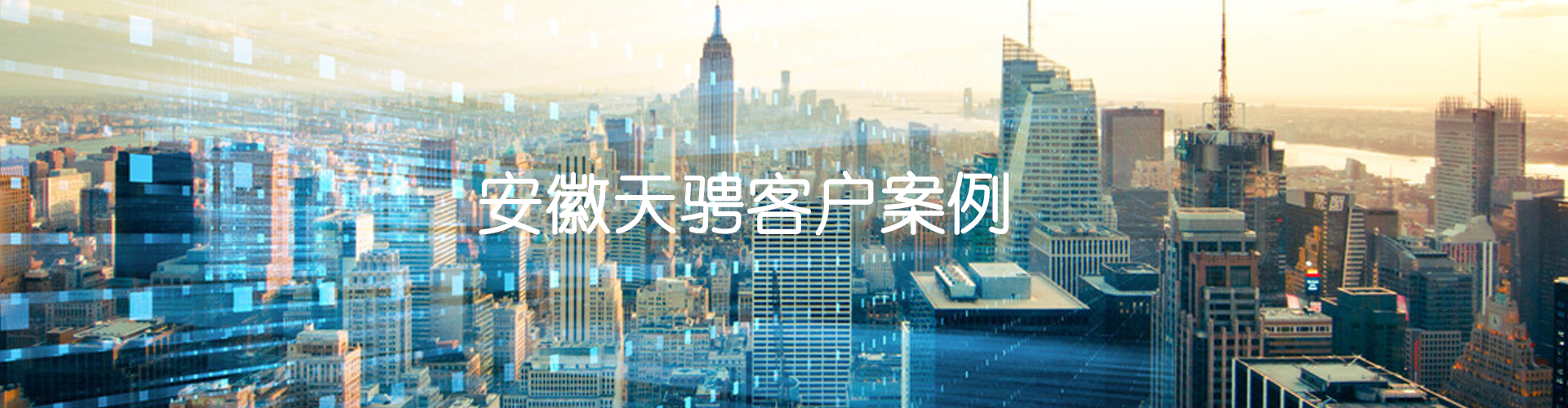 安徽天聘客户案例